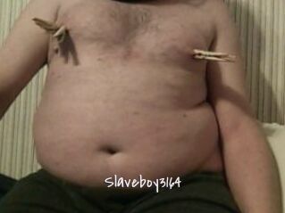 Slaveboy3164