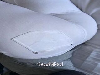 Snowflake21