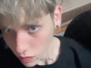 Sourking