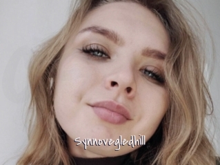 Synnovegledhill