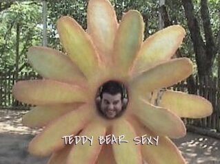 TEDDY_BEAR_SEXY