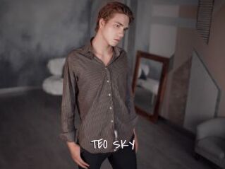 TEO_SKY