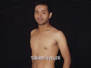 THEHORNYDUDE