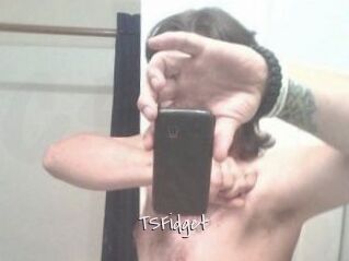 TSFidget