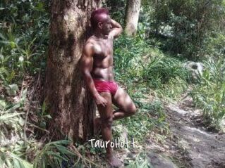 Tauro_Hott