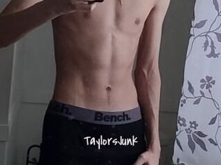 TaylorsJunk