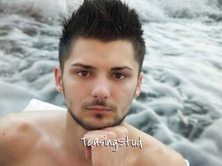 TeasingStud