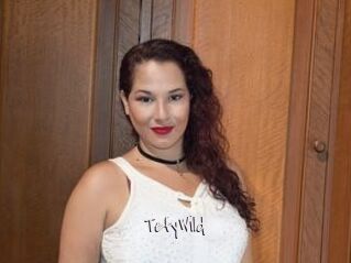 TefyWild