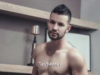 TeoBanner