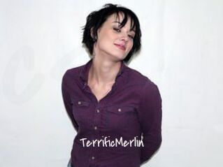 TerrificMerlin