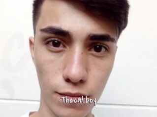Thecatboy