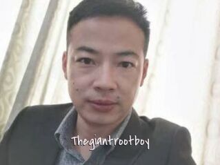 Thegiantrootboy