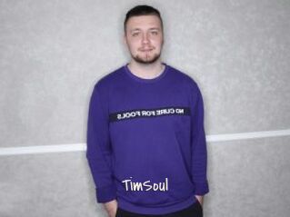TimSoul