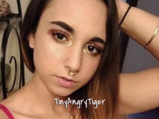 TinyAngryTiger