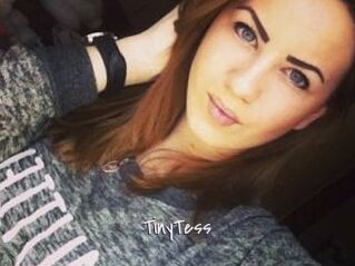 TinyTess