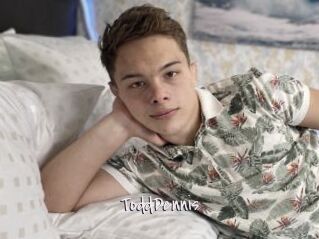 ToddDennis