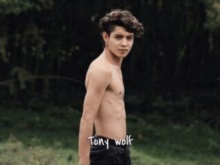 Tony_wolf