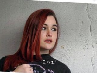 Toro27