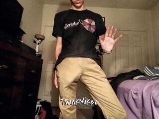 TwinkMikee