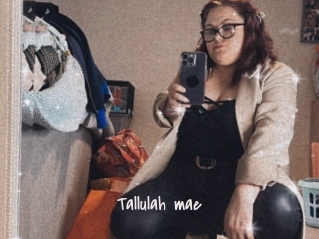 Tallulah_mae