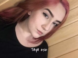 Taya_exe