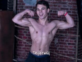 Taylerwild