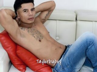 Taylorbigboy