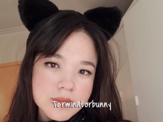 Terminatorbunny