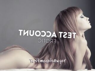 Testmodelsawyer