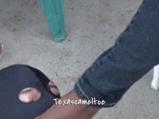 Texascameltoe