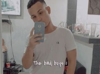 The_bad_boys_1