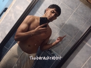 Thebarackrabbit