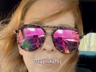 Thepoundtoy