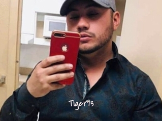 Tiger93