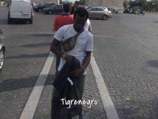 Tigrenegro