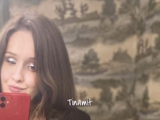 Tinamit