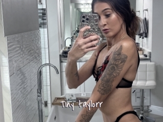 Tiny_taylorr