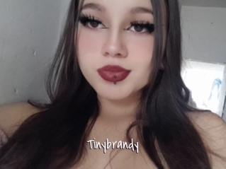 Tinybrandy