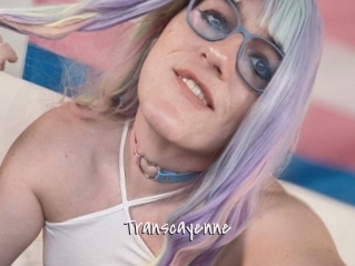 Transcayenne