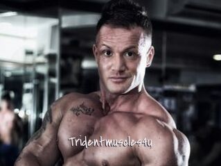 Tridentmuscles4u