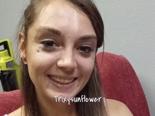 Trixysunflower