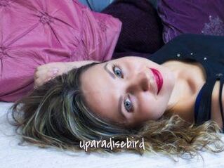 Uparadisebird
