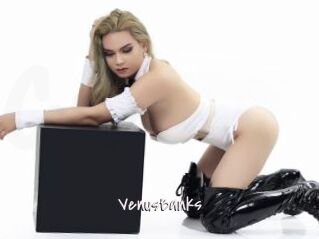 VenusBanks