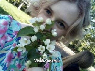 ViolaCamomile