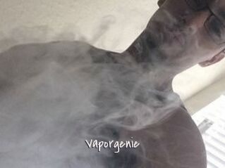 Vapor_genie