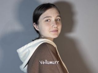 Vellumurr