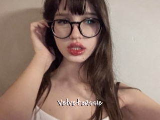 Velvetcassie