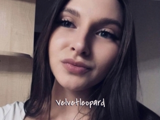 Velvetleopard