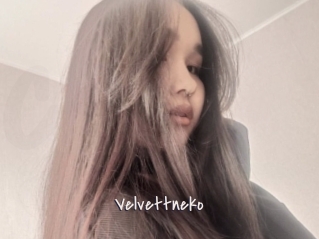 Velvettneko