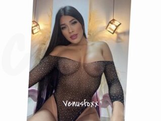 Venusfoxx